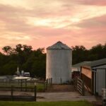 Farm buildings and silo at sunrise