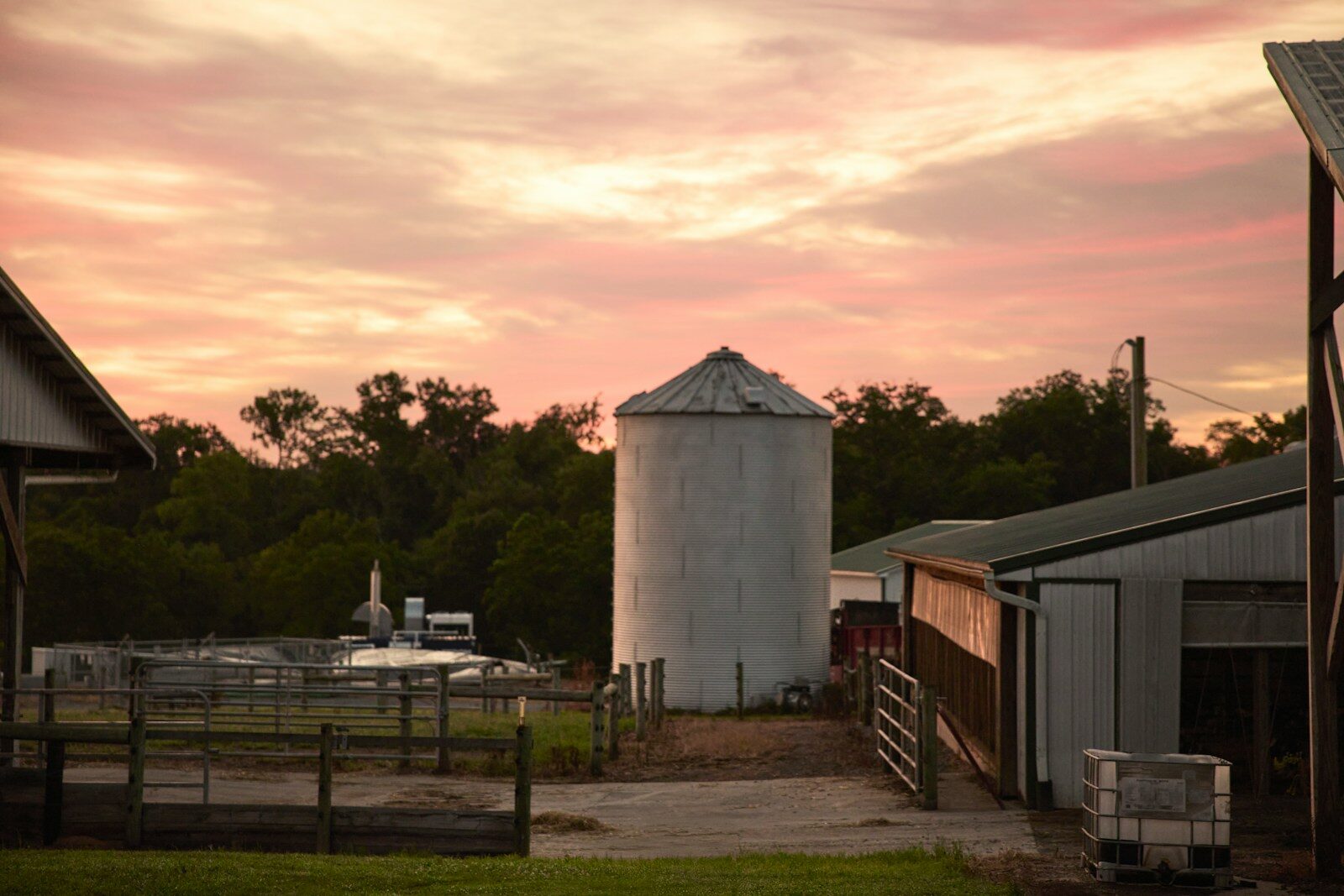 Farm buildings and silo at sunrise
